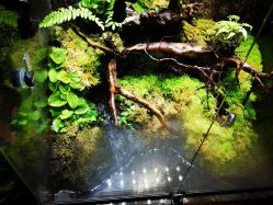 -酷嗒动物文化乐园(cutezoo西溪乐天城店)