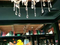 -D STAR COFFEE帝星咖啡
