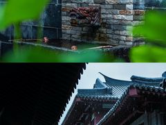 -灵谷景区