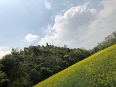 -贵阳市花溪国家城市湿地公园