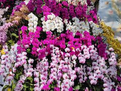 -北京植物园-展览温室