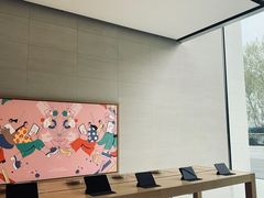 -Apple零售店(玄武湖店)