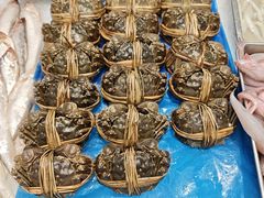 -北塘海鲜·天津菜·鲅鱼水饺是一绝(大光明桥旗舰店)