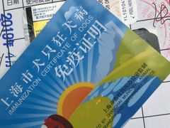 -申普宠物医院·心脏介入·心血管微创(总院)