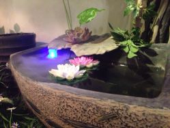 iphone_upload_pic-克丽缇娜