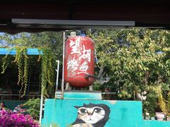-望湖烤鱼