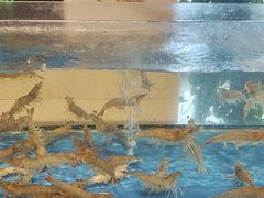 -常德武陵天济喜来登酒店-盛宴餐厅