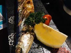 -春草居酒屋·晴子の店