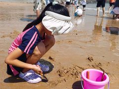 -日照灯塔风景区