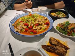 泡椒青蛙-新蜀会四川豆花(五羊店)
