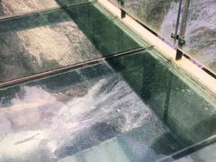-龙湾潭国家森林公园