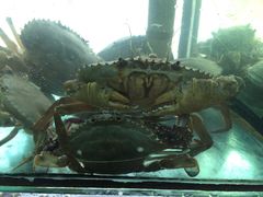 -合家小菜餐馆(新诚花苑店)