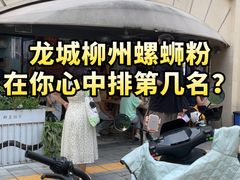 -龍城柳州螺蛳粉(群星路店)