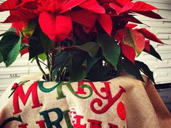 -天津海河悦榕庄·Lobby Lounge大堂吧