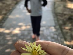 -中央公园(苏州工业园区)