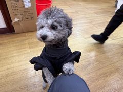 -观桥阁(锦溪店)