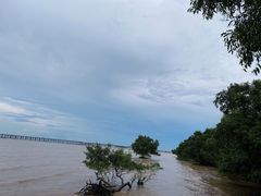 -宝安西湾红树林湿地公园