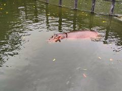 -泉州海丝野生动物世界