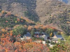 -北京西山国家森林公园