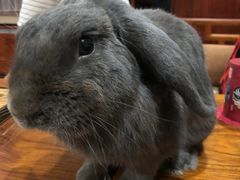 -龙猫仔乐园(惠福东路店)