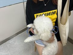 -中农国际动物医院24小时·猫科·骨科·急重症中心