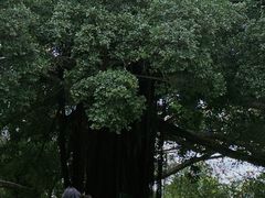 -南宁南湖公园