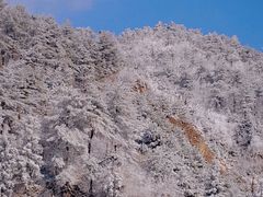 -四明山国家森林公园