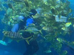 -太平洋海底世界