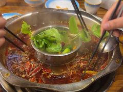 -金鼎雪山牦牛杂火锅(理县总店)