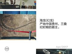 -中华赏石园