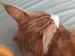 -平行世界·猫咖(首经贸店)