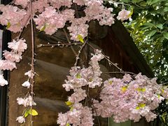 -昆山城市生态森林公园