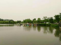 -上海长兴岛郊野公园