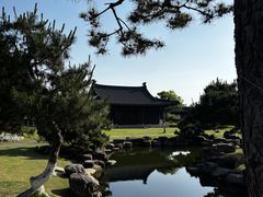-江心屿景区