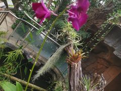 -北京植物园-展览温室