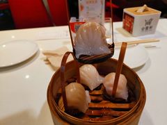 招牌虾饺皇-金鼎轩(亚运村店)