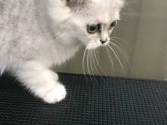 -宠爱有家宠物店(环镇北路店)