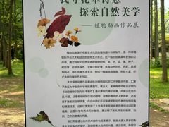 -杭州植物园