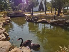 -惠州金海湾嘉华度假酒店