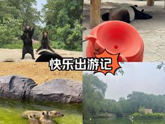 -沈阳森林动物园