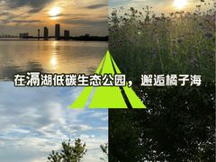 -滆湖低碳生态公园