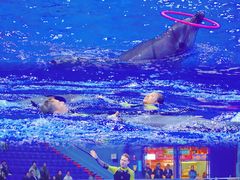 -多彩贵州城极地海洋世界