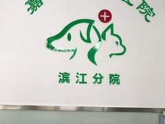 -美美宠物诊疗中心·异宠·骨科(滨江东信分院)