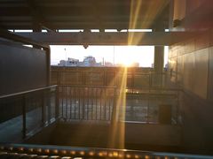 -羊家胡同·龙虾烧烤火锅(龙汇路店)