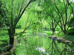 -杭州城北体育公园
