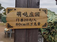 -上海长兴岛郊野公园