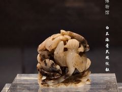 -张掖市博物馆