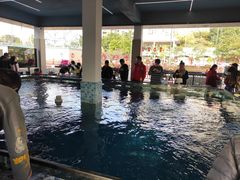 -SHRIMP CLUB万东餐饮钓虾·清吧