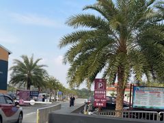 -北海金海湾红树林生态旅游区