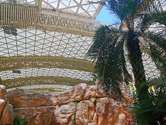 -杭州开元森泊度假乐园